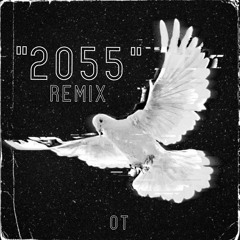 2055 (REMIX)