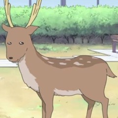 che - doe deer (nightcore)