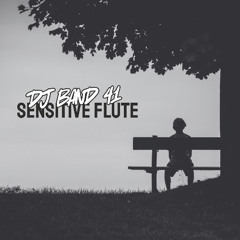 DJ BAND 41 - Sensitive Flute