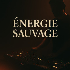 Énergie Sauvage