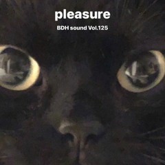 Pleasure BDH sound Vol.125.WAV