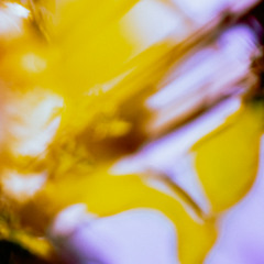 Superluminal.fm ☼ Luisa