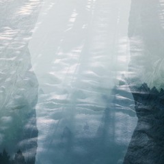 Be Still the Earth : All Disappearing