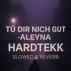 tu dir nicht gut-aleyna _HARDTEKK_ - Slowed & Reverb