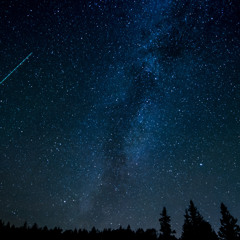 Chasing Stars II