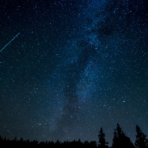 Chasing Stars II