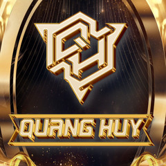 NST Bay Phòng QHuy ( DVT MIX)