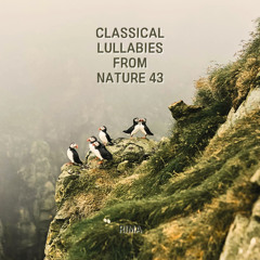 Beethoven : Piano Sonata No.29 In B Flat Major Op.106 'Hammerklavier' - III. Adagio Sostenuto