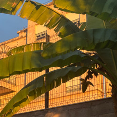 Bedjine x Joé Dwèt Filé _tu vas me manquer