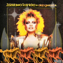 aleja gwiazd yerbby x rudeboyz