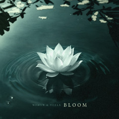 Nomyn & Veela - Bloom