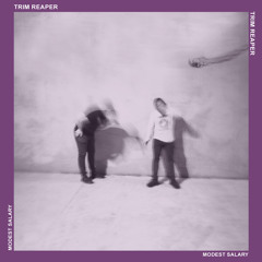 Modest Salary (Cupholder Remix)