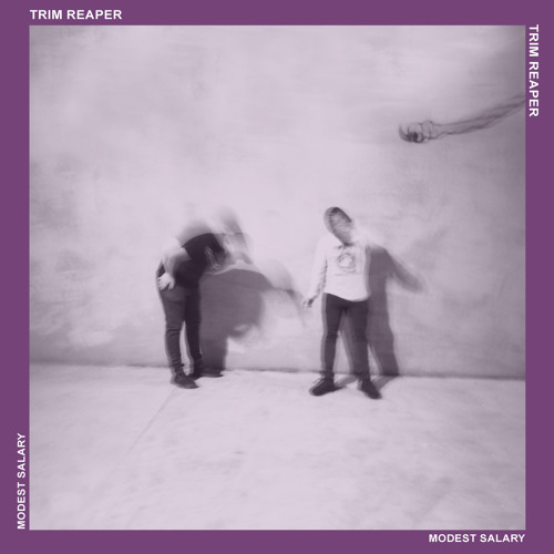 Modest Salary (Cupholder Remix)