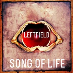 Leftfield Song Of Life Remix