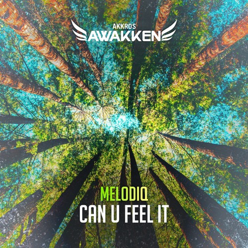 MelodiQ - Can U Feel It [AWK007]