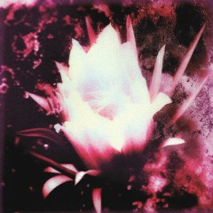 WANT TO FLY (prod. jissa)