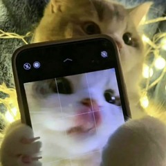 PHIA SAU MOT CO GAI .WAV