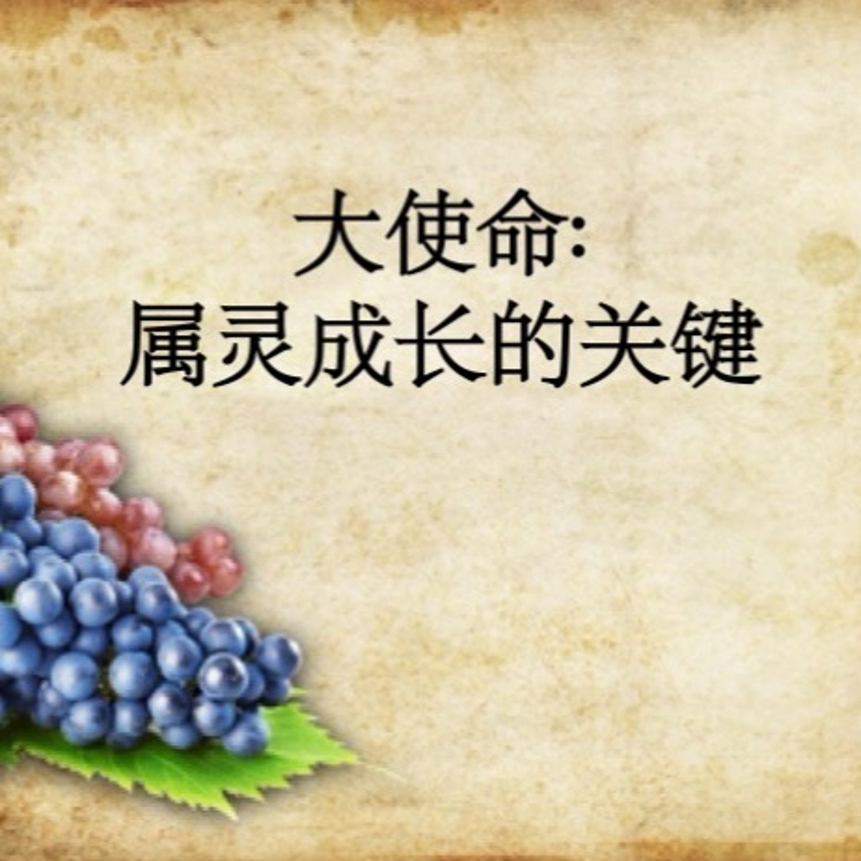 02/09/2020 大使命：属灵成长的关键—Luke Wong博士（《太》28:19-20） episode artwork