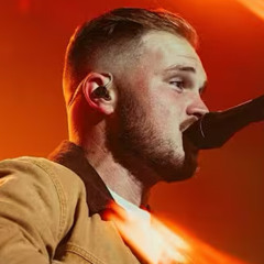 Zach Bryan - Paradise *unreleased*