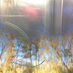 A Fuzz (feat. Aunty Entro)