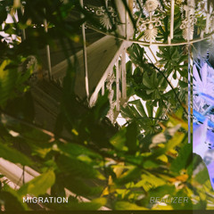 Migration