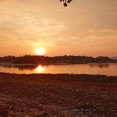 Interemergences: 2026 op 2