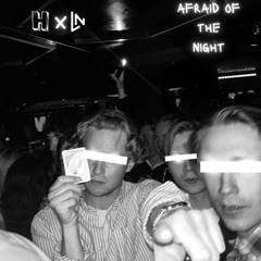 Afraid Of The Night (feat.LANER)