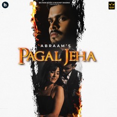 Pagal Jeha