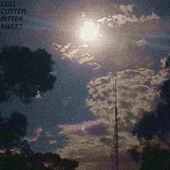 Bittersweet (Feat. Hatsune Miku  初音ミク)