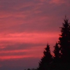 IDEENGEBER - Entspannung Gartenklänge Vogel Konversation