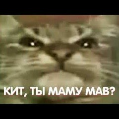 MORGENSHTERN & Lil Pimp ft. КИТ ТЫ МАМУ МАФ? - WATAFUK?! (prod.Mr Neo