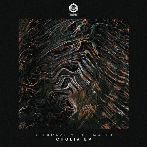 Seekraze & Tao Maffa - Bicycle