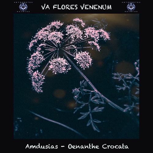 3. Amdusias - Oenanthe Crocata (166 - 177 BPM) VA Flores Venenum - Metacortex Records