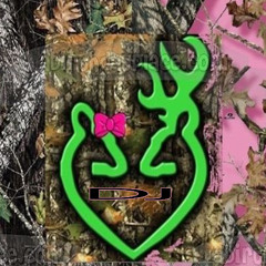 ceiling fan (Dj Lucas)