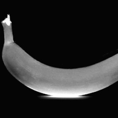 BLACK MARCH LOST PLAYLIST bananas! 2/18/2021