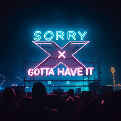 Sorry X Gotta Have It (Spin Edit)