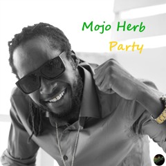 Mojo Herb - Party