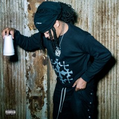 Zelly Ocho - Flew 2 Boston (Prod.Seatonparish)(DJ Zelus Exclusive)