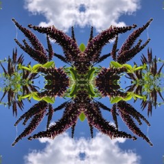Sympathye