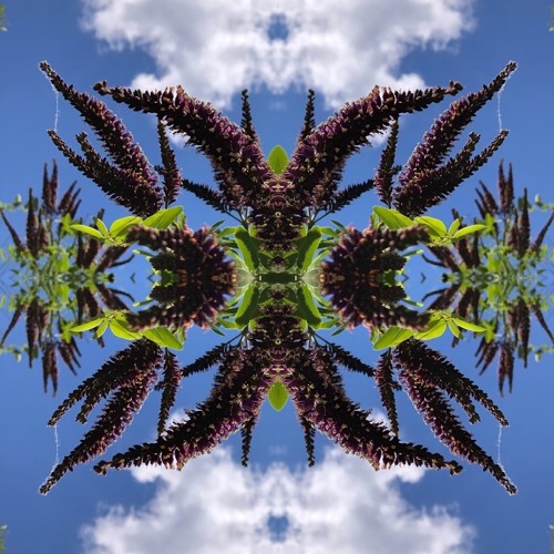 Sympathye