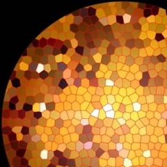 wsl&klsng - Golden Amber 1B