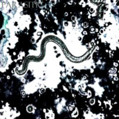 Parasitic (prod. z4b3)