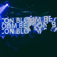 Beacon Bloom Releases 2025
