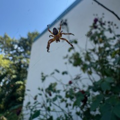 Hey!¿