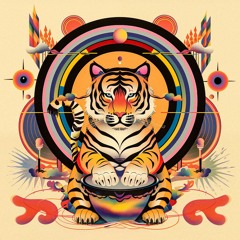 TempoRaro - DJ MIX (Organic/Downtempo/World)