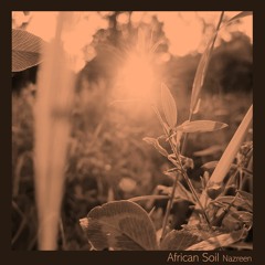 African Soil