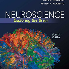 [Download] PDF 🗂️ Neuroscience: Exploring the Brain, Fourth Edition by Mark F. Bear,