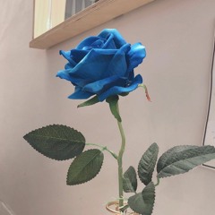 St. Vincent _ Happy birthday Johnny(PIANO) 백예린 ver