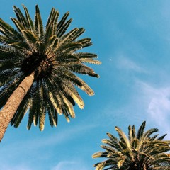 Summer ‘22