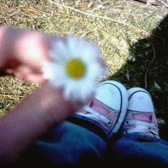 buzesil0 - Dry Flower